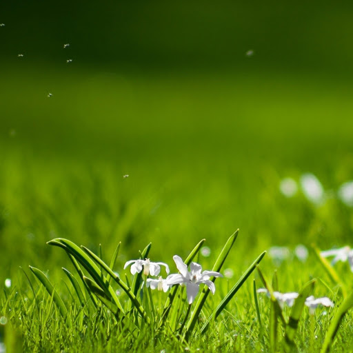 Hd-144762-ascw144762