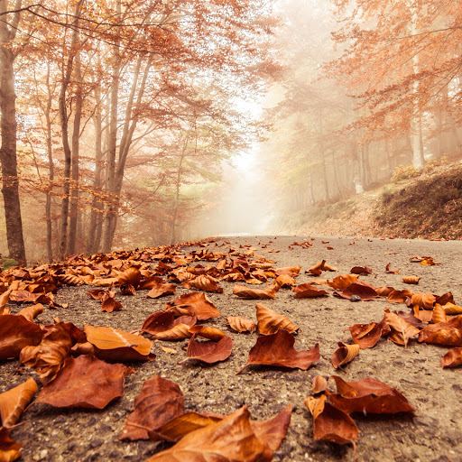 Hd-161973-ascw161973