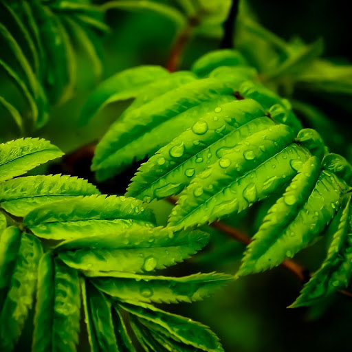 Hd-167502-ascw167502