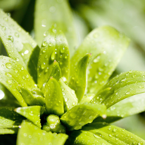 Hd-139488-ascw139488