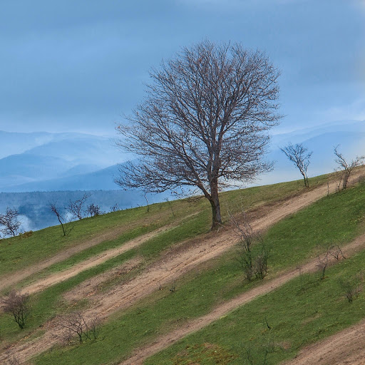 Hd-131597-ascw131597