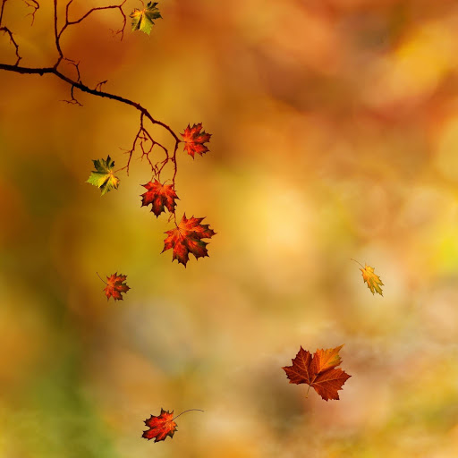 Hd-132060-ascw132060