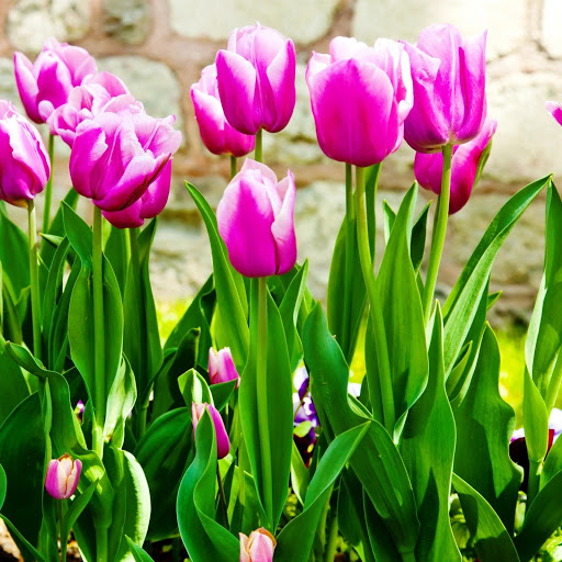 Hd-146185-ascw146185