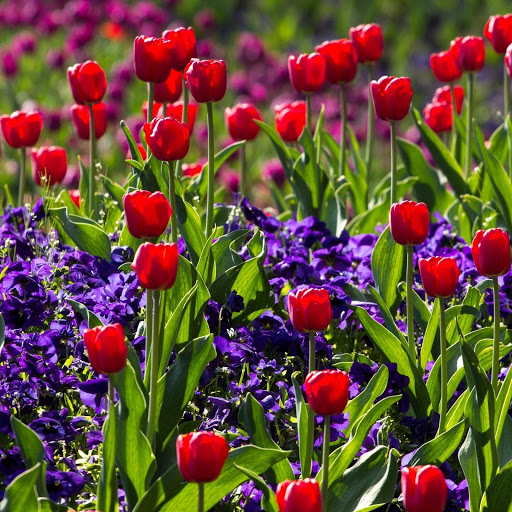 Hd-183780-ascw183780