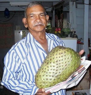 [Graviola%2520Morata%255B2%255D.jpg]