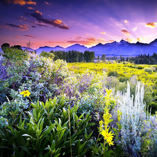 Hd-142094-ascw142094