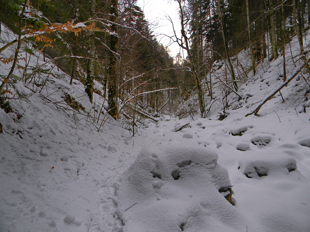 [DSCN35263.jpg]