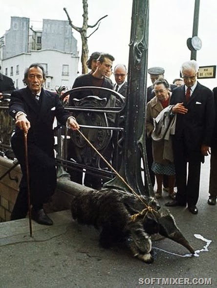 [0_44ade_ce0a3a4f_XL%255B8%255D.jpg]