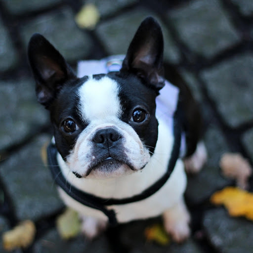 Hd-175868-ascw175868