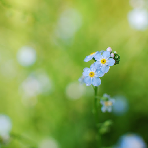 Hd-144257-ascw144257