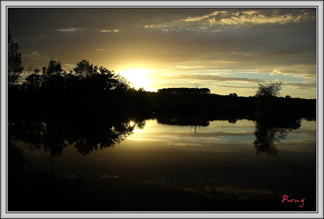 Etang du Marais de Lancin photo #1330