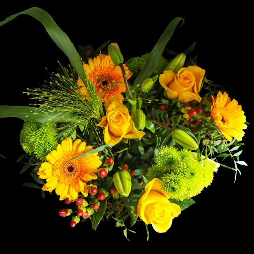 Hd-146393-ascw146393