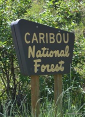 Caribou National Forest