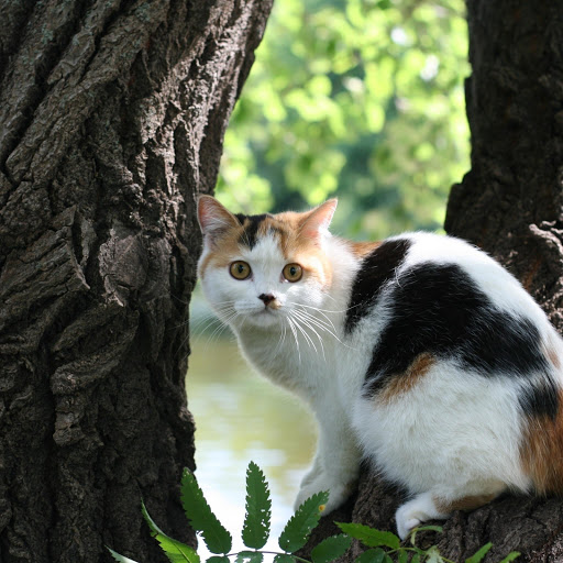 Hd-177949-ascw177949