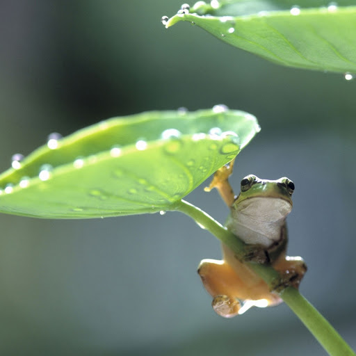 Hd-157696-ascw157696