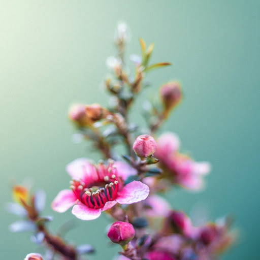 Hd-144741-ascw144741