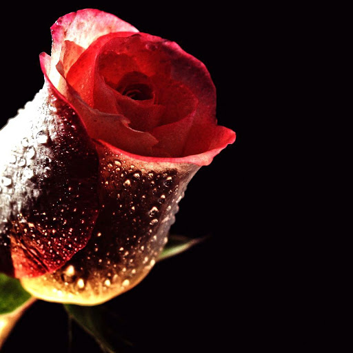 Hd-138056-ascw138056