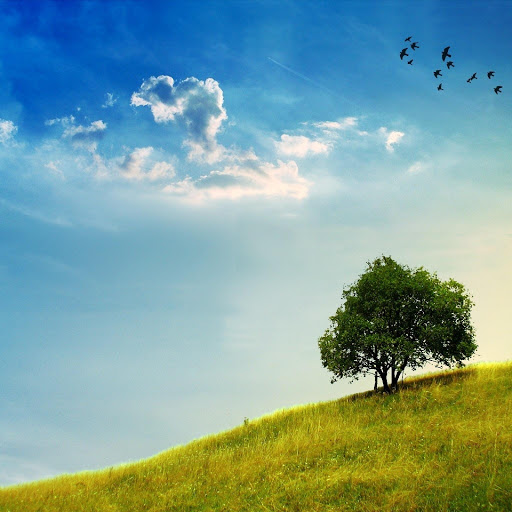 Hd-161029-ascw161029