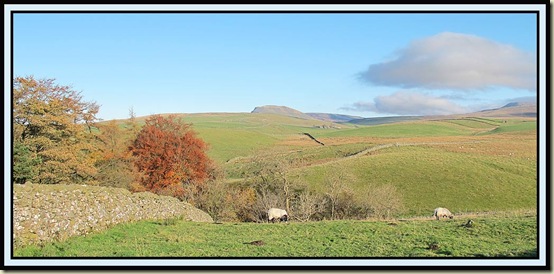 Pen-y-ghent from near Stainforth