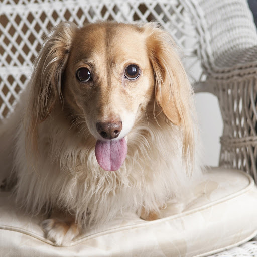 Hd-176138-ascw176138