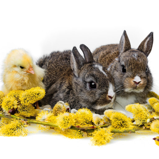 Hd-171630-ascw171630