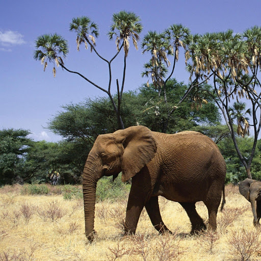 Hd-173858-ascw173858