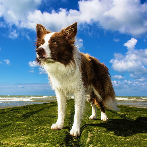 Hd-151142-ascw151142