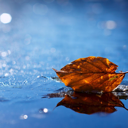 Hd-177987-ascw177987