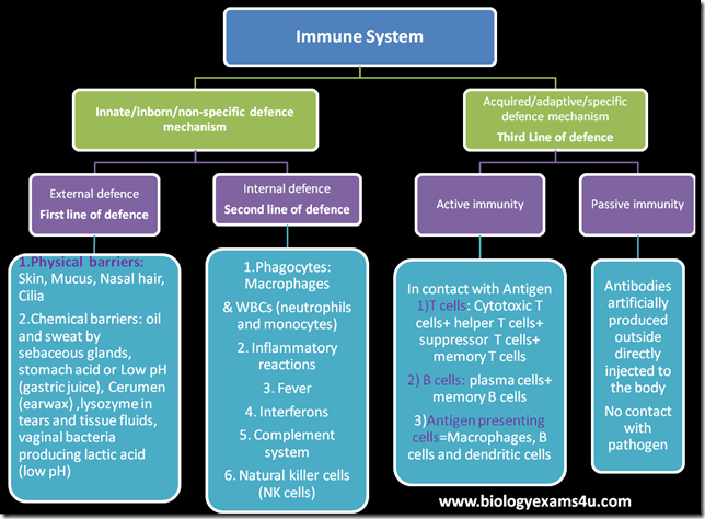 Immunology an overview Immunology an overview