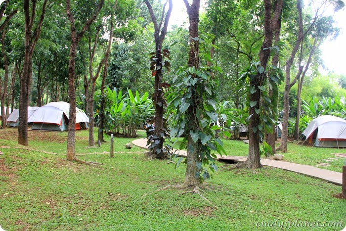 chok chai farm camp (12)