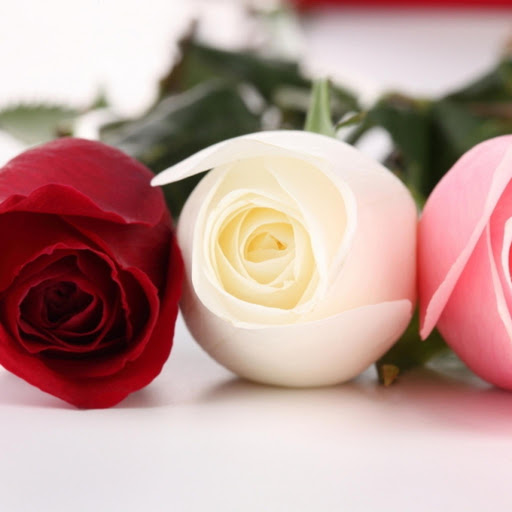 Hd-171380-ascw171380