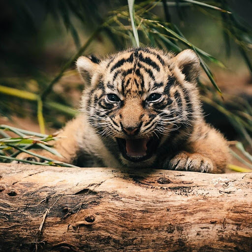 Hd-180755-ascw180755