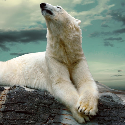 Hd-158970-ascw158970