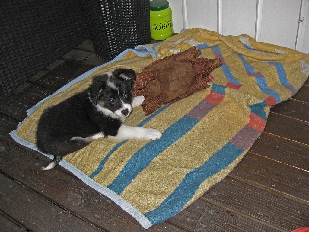 [Glenna_290511_7880%255B4%255D.jpg]