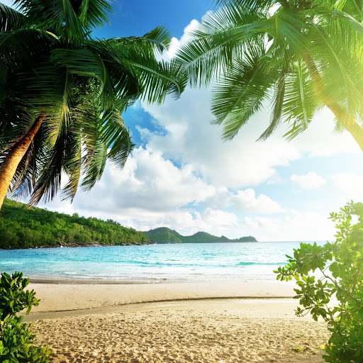 Hd-166658-ascw166658