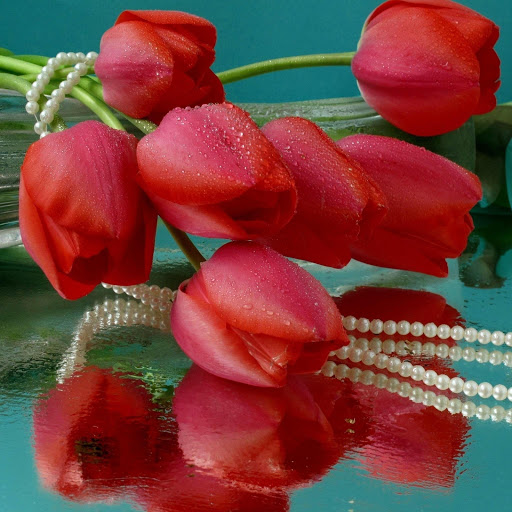 Hd-165809-ascw165809