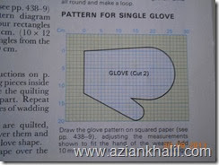 Kitchen Hand Glove