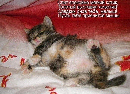 [20120404205932%255B2%255D.jpg]