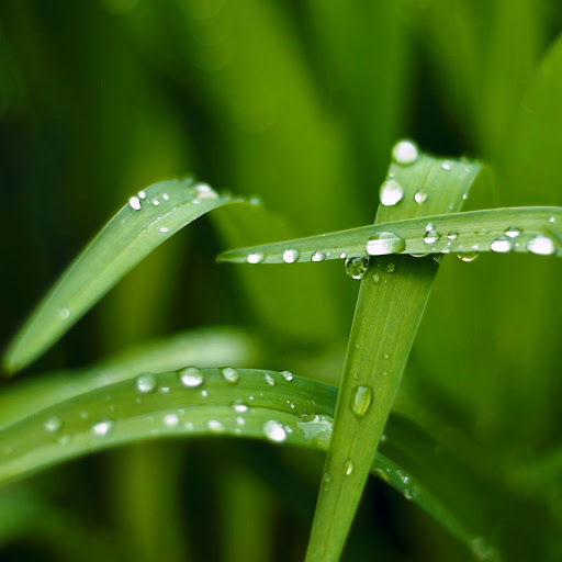 Hd-173742-ascw173742