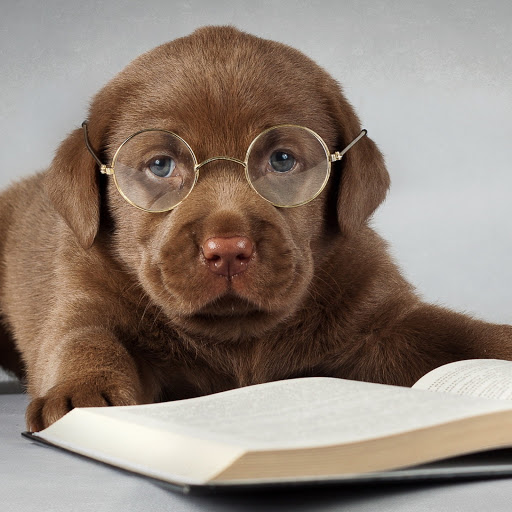 Hd-166169-ascw166169