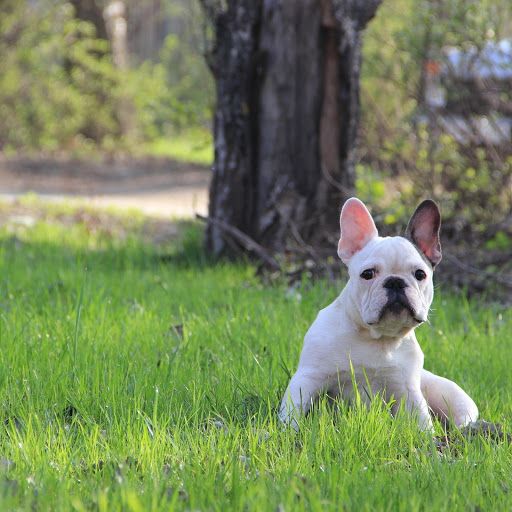 Hd-178341-ascw178341