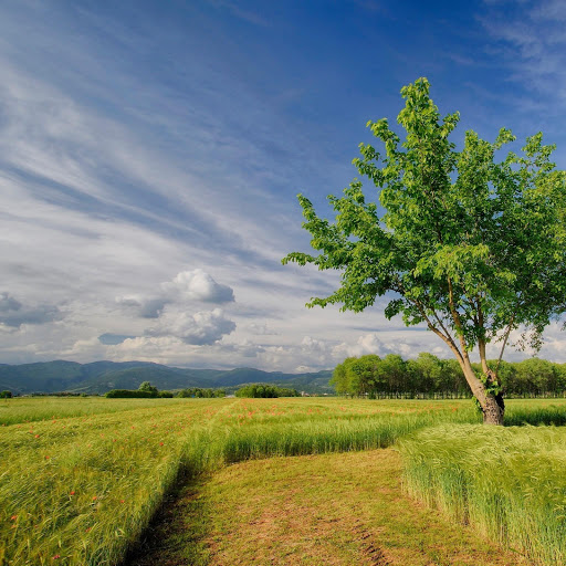 Hd-141992-ascw141992