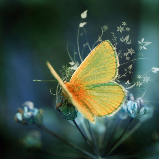 Hd-142498-ascw142498