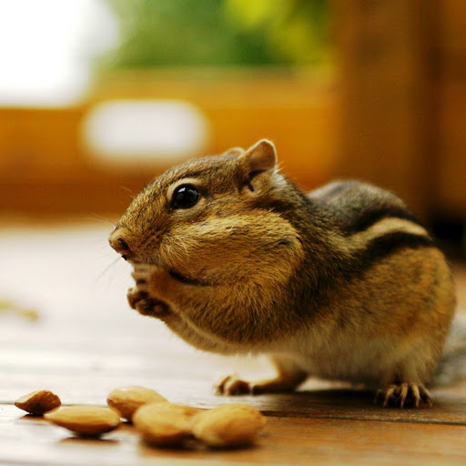 Hd-159963-ascw159963