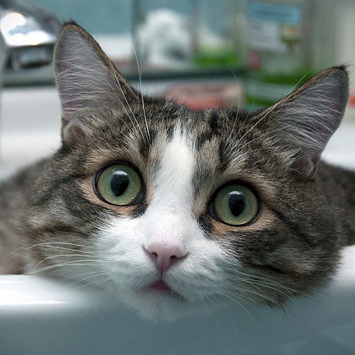 Hd-146732-ascw146732