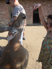 IMG_8723 IMG_8723