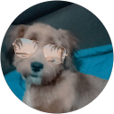 Anderson mauricio Huaman palacios