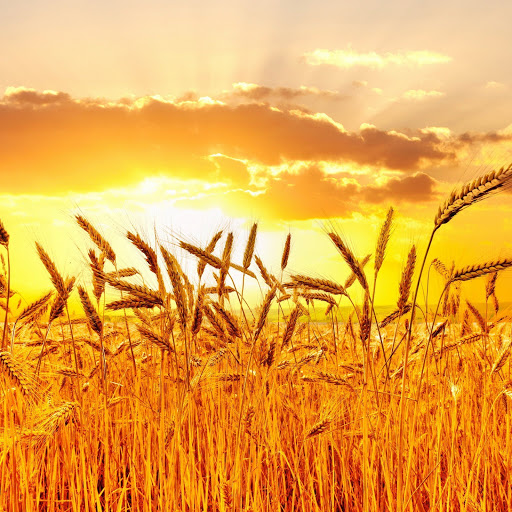 Hd-154784-ascw154784