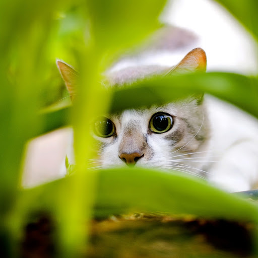 Hd-185139-ascw185139