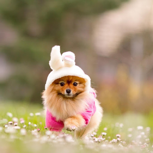 Hd-173763-ascw173763